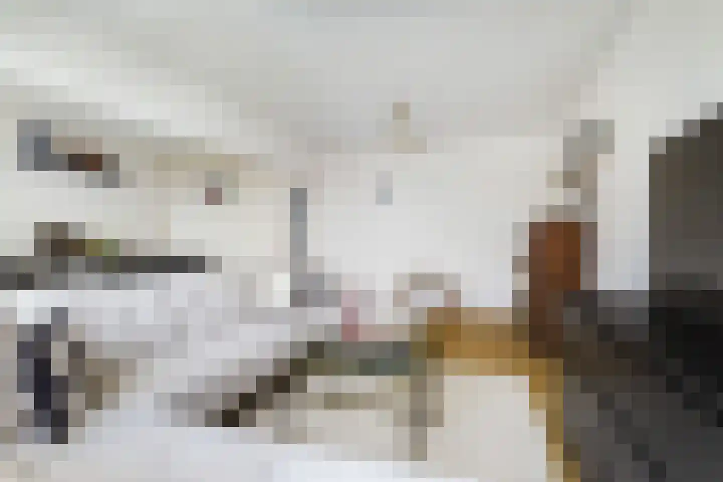 Nieuwenoord 94 Rotterdam thumbnail 13