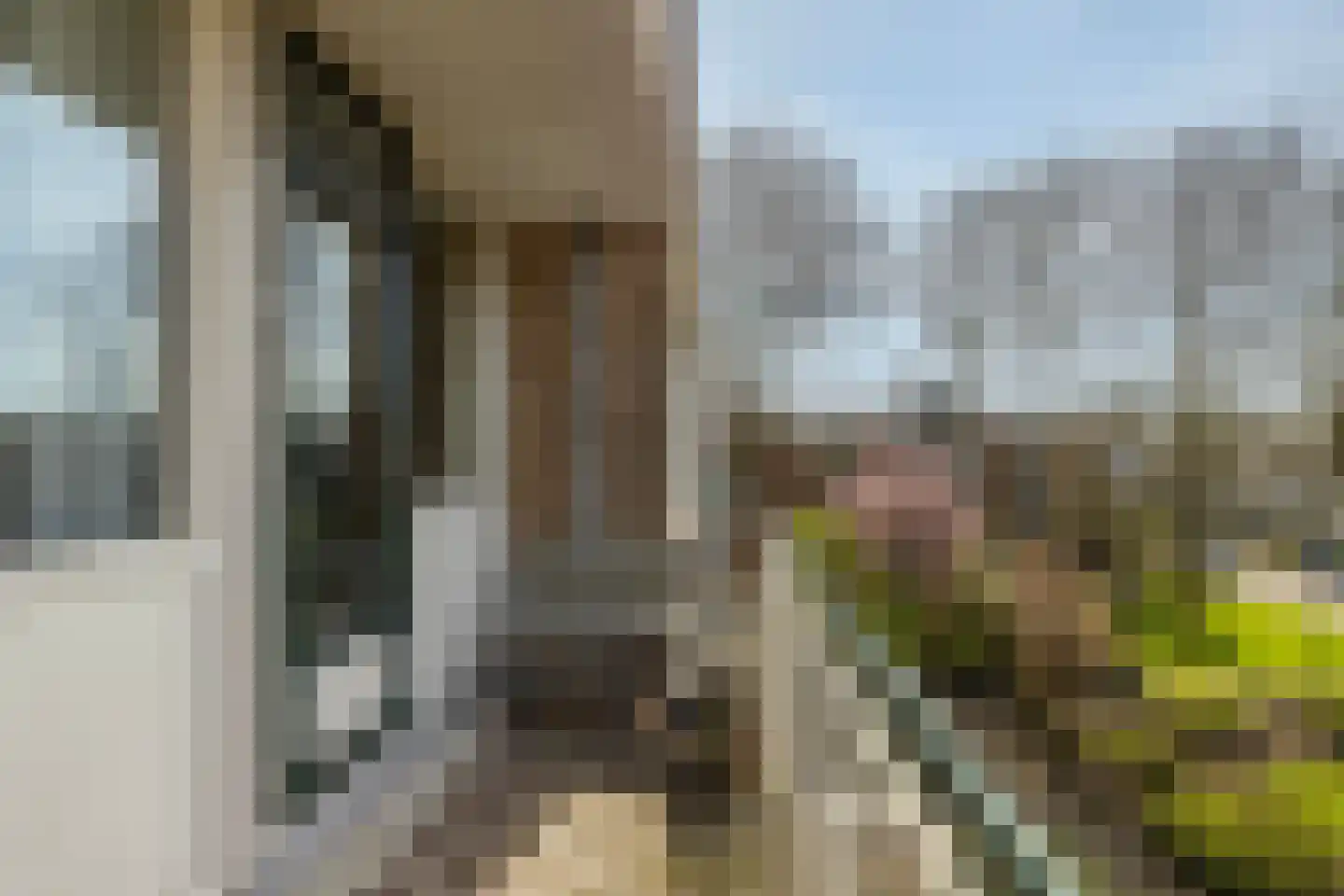 Nieuwenoord 94 Rotterdam thumbnail 25