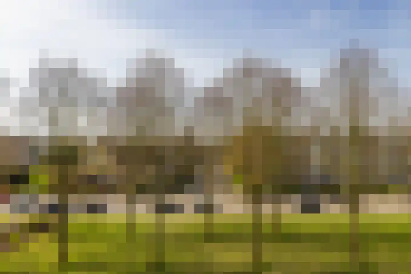 Nieuwenoord 94 Rotterdam thumbnail 27