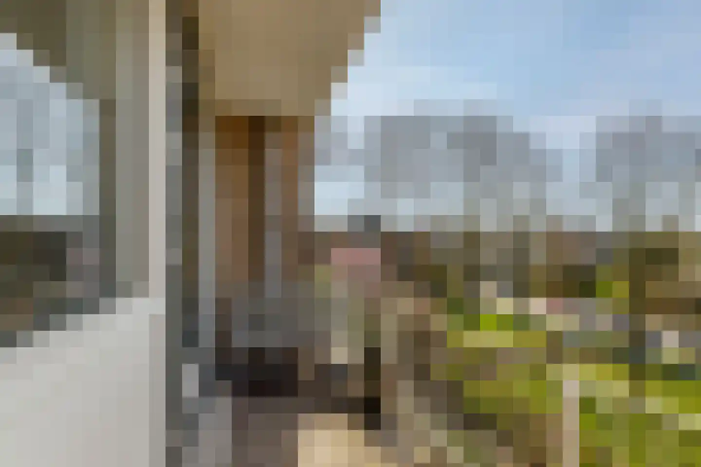 Nieuwenoord 94 Rotterdam thumbnail 5