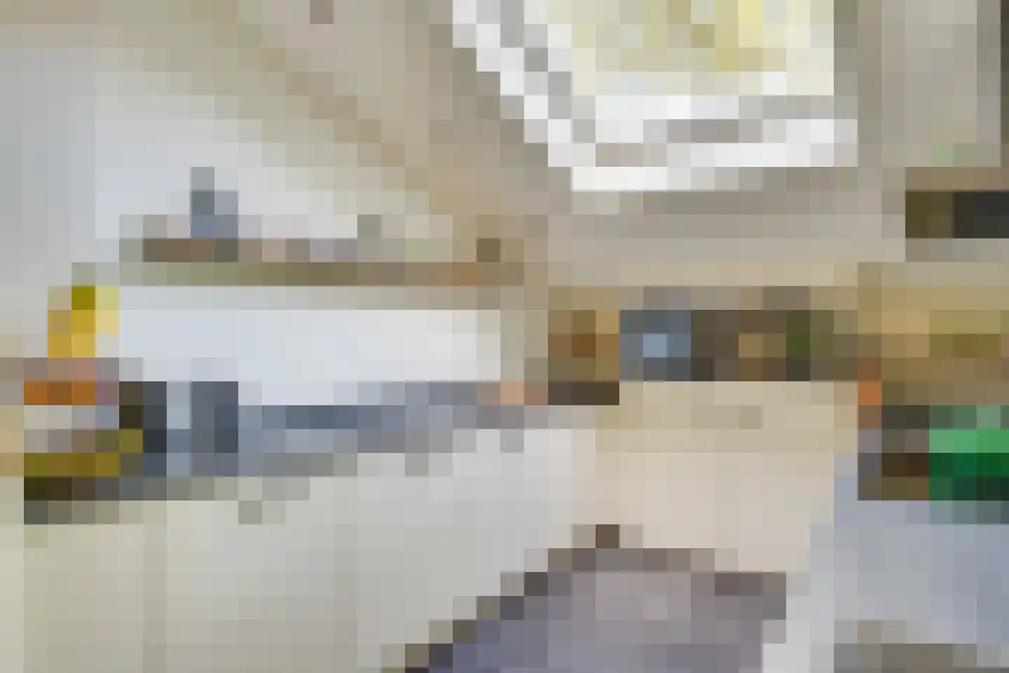 Nieuwenpolder 53 Geldrop thumbnail 17
