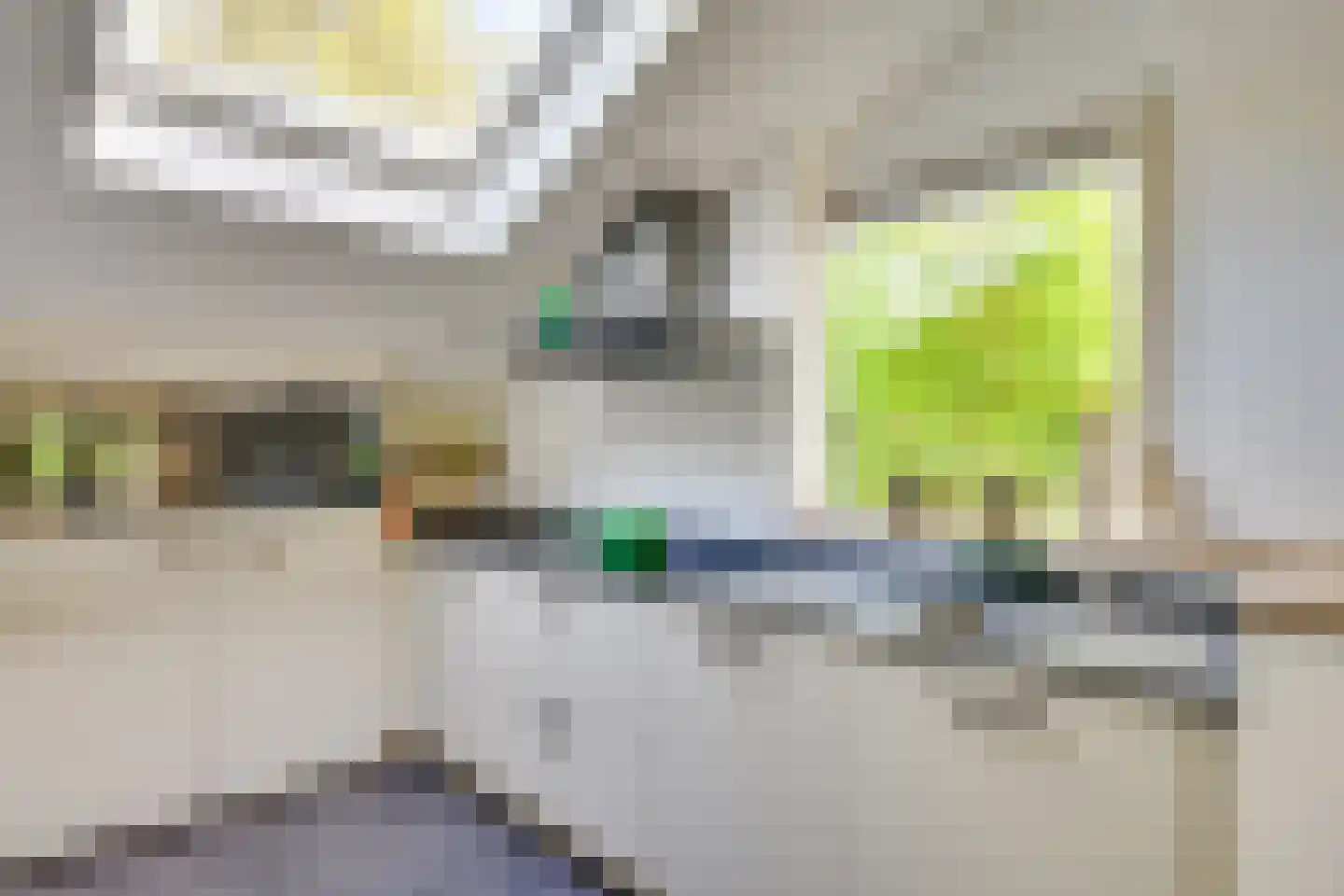 Nieuwenpolder 53 Geldrop thumbnail 18