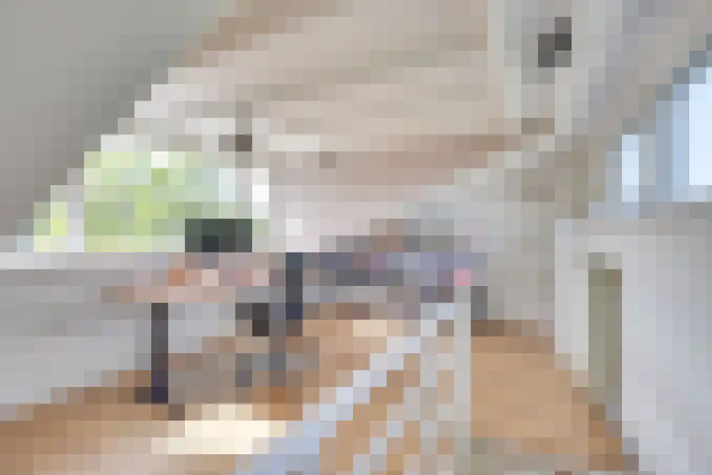 Nieuwenpolder 53 Geldrop thumbnail 30