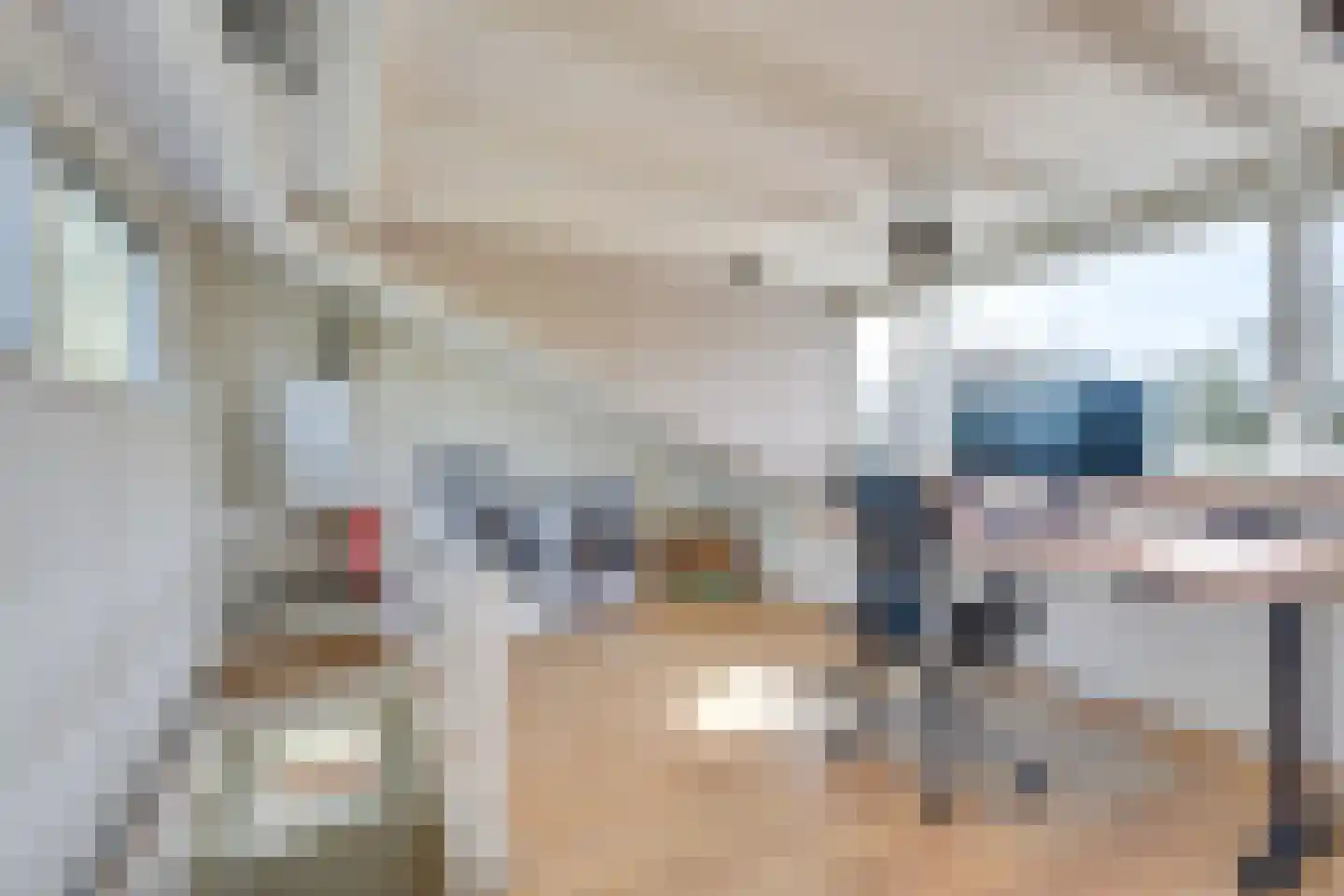 Nieuwenpolder 53 Geldrop thumbnail 31