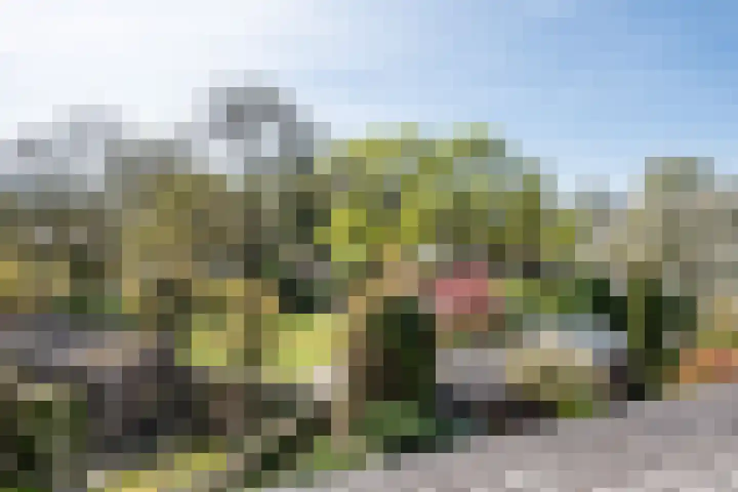Nieuwenpolder 53 Geldrop thumbnail 32
