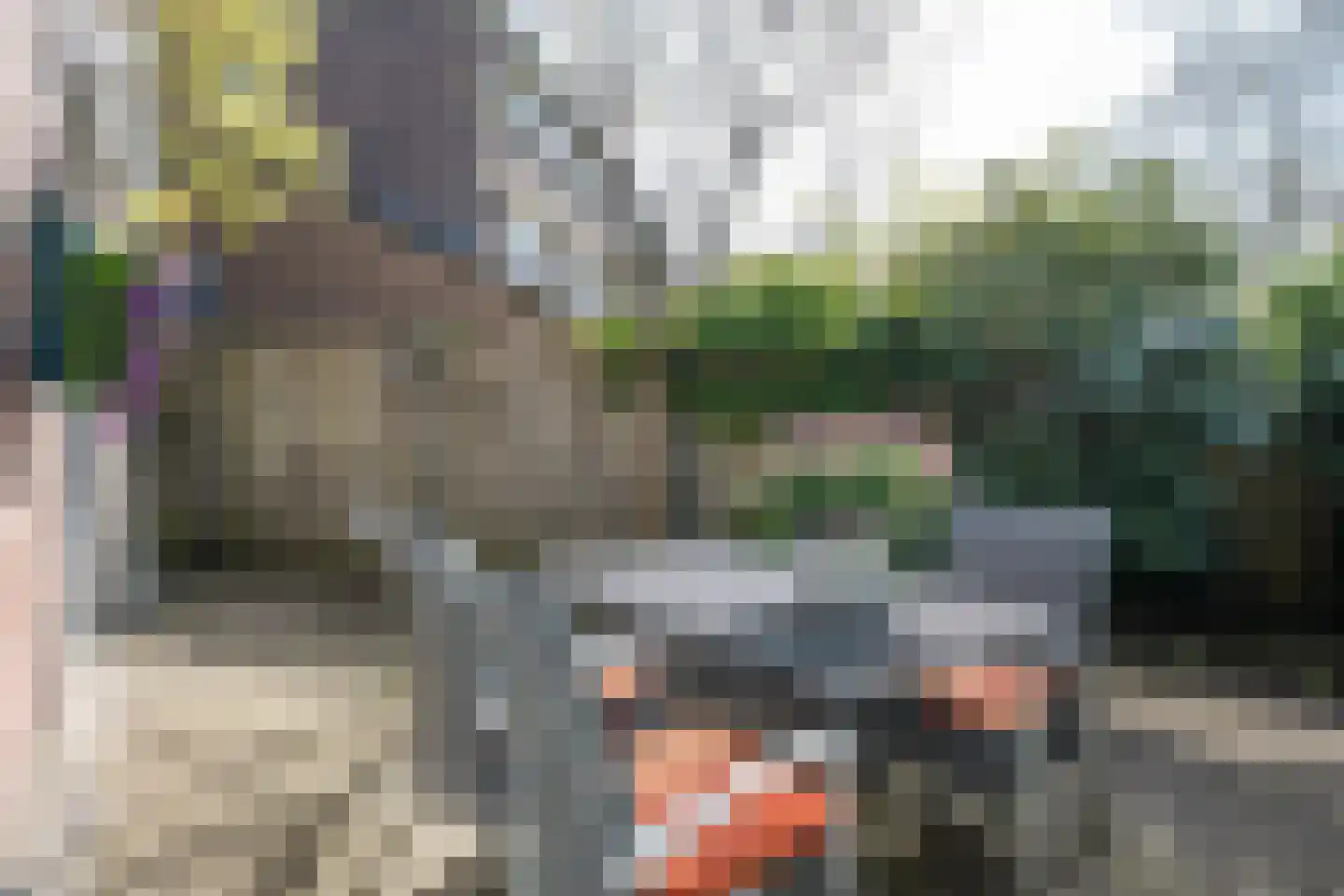 Nieuwenpolder 53 Geldrop thumbnail 34