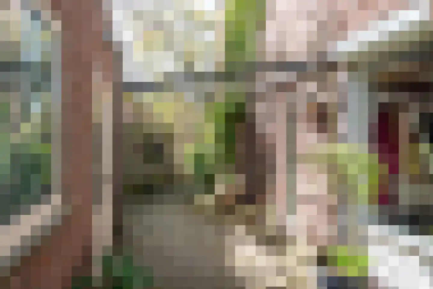 Nieuwenpolder 53 Geldrop thumbnail 36