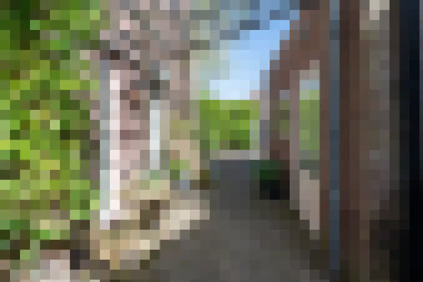 Nieuwenpolder 53 Geldrop thumbnail 37
