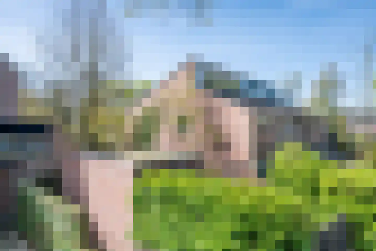 Nieuwenpolder 53 Geldrop thumbnail 42