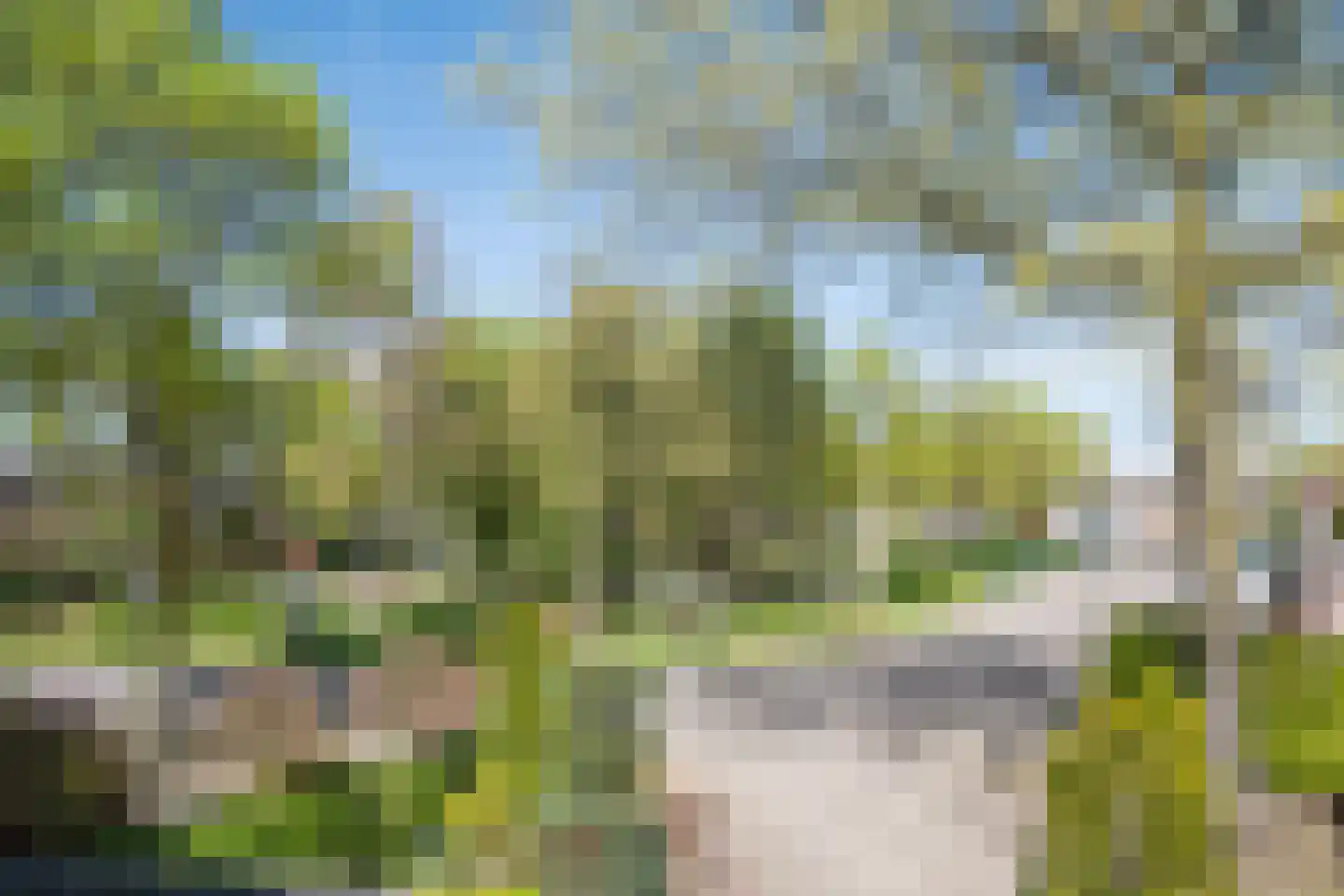 Nieuwenpolder 53 Geldrop thumbnail 44