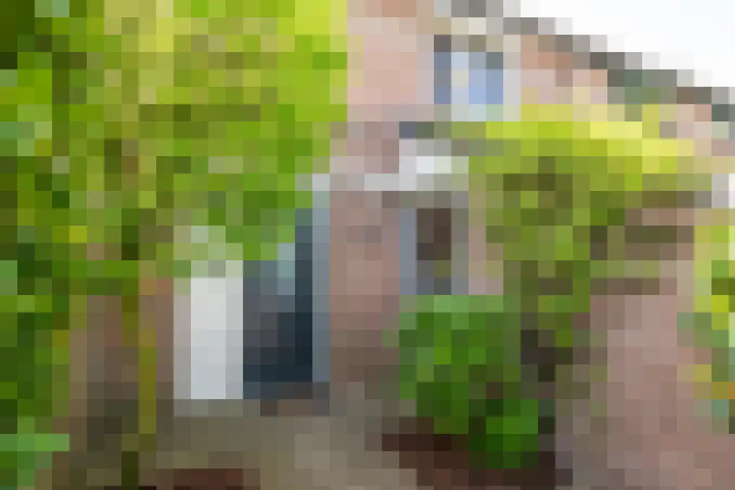 Nieuwenpolder 53 Geldrop thumbnail 5