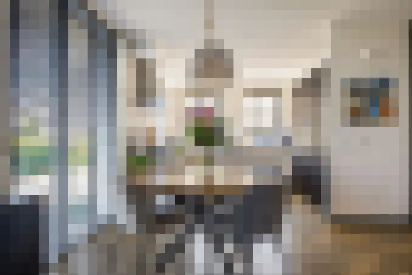 Nieuwepad 11 Middelharnis thumbnail 16