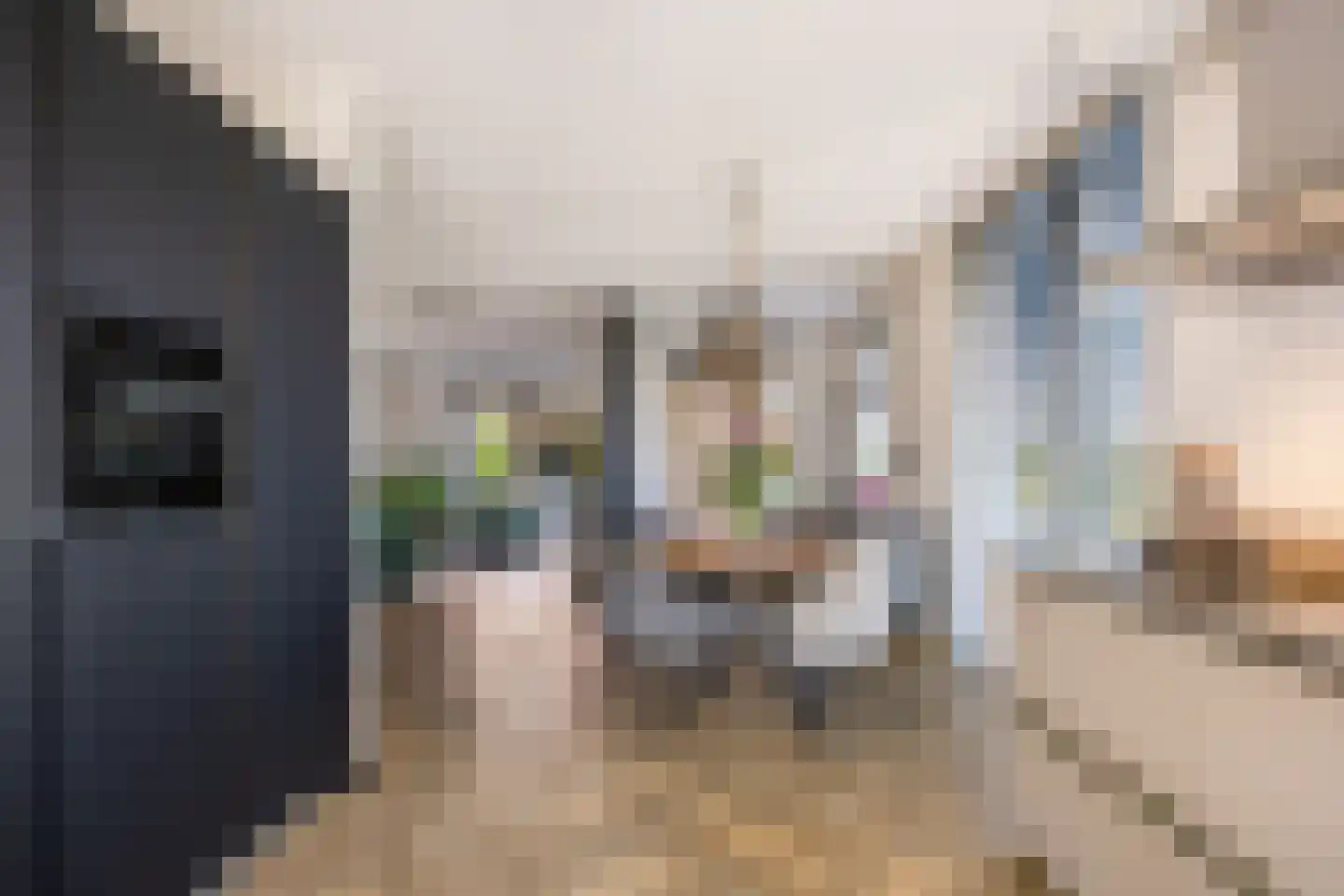 Nieuwepad 11 Middelharnis thumbnail 17