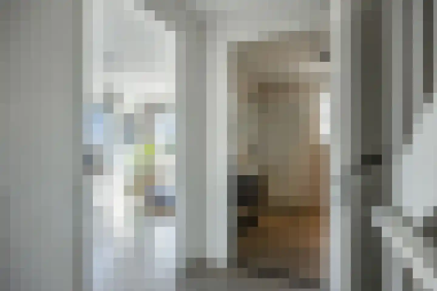 Nieuwepad 11 Middelharnis thumbnail 20