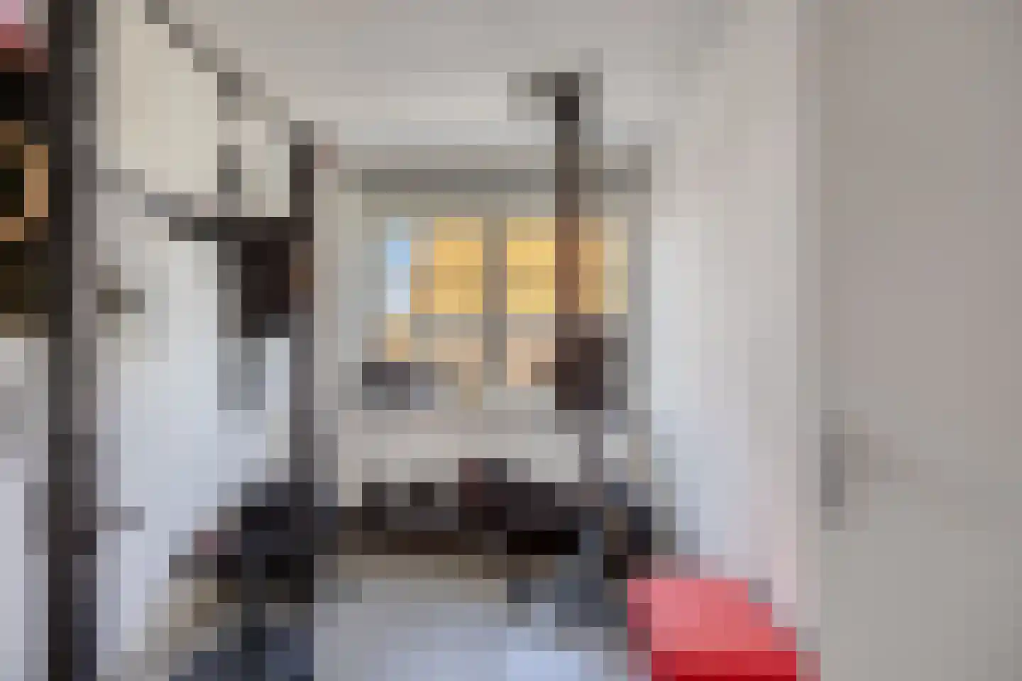 Nieuwepad 11 Middelharnis thumbnail 26