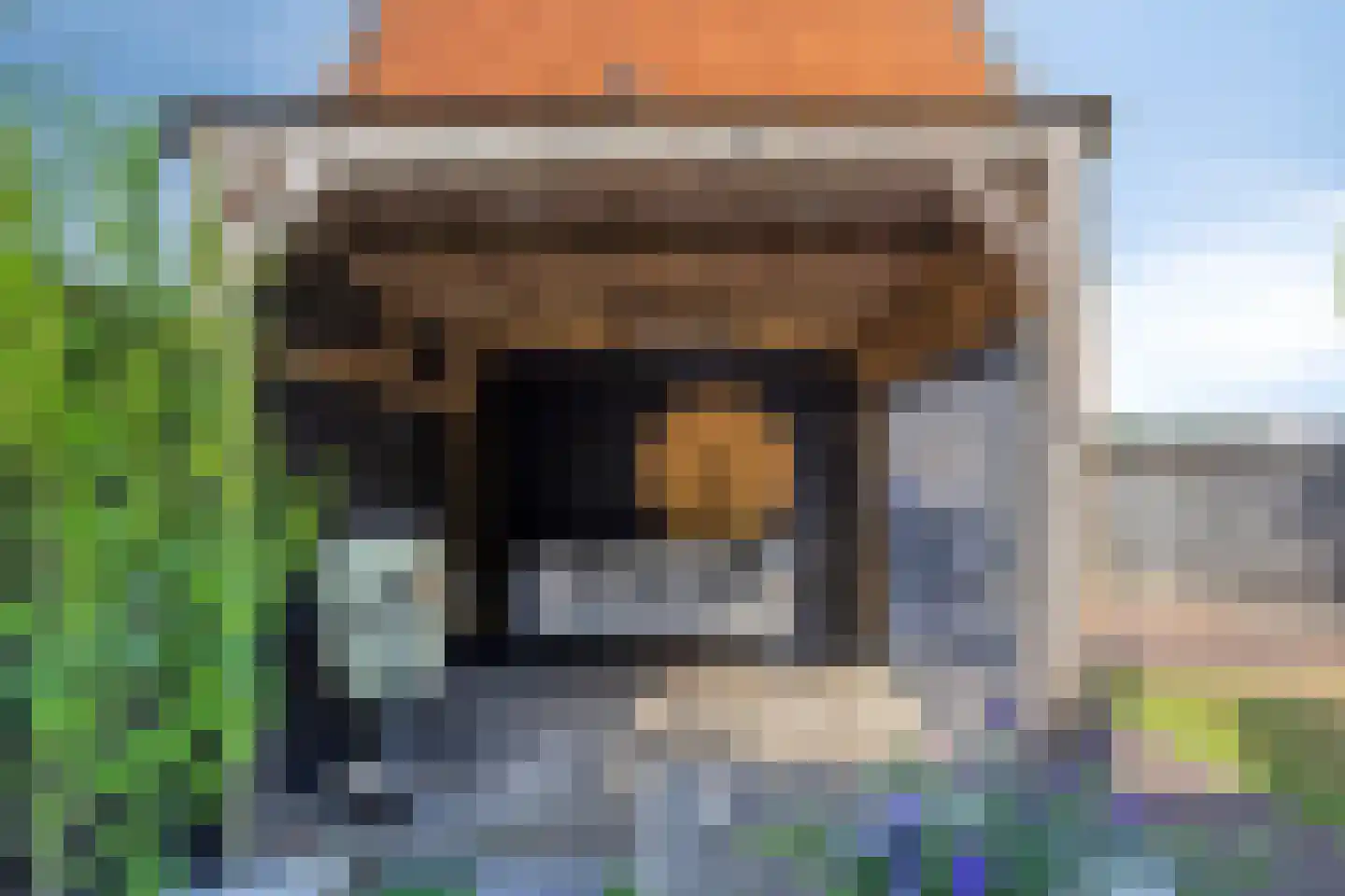 Nieuwepad 11 Middelharnis thumbnail 36