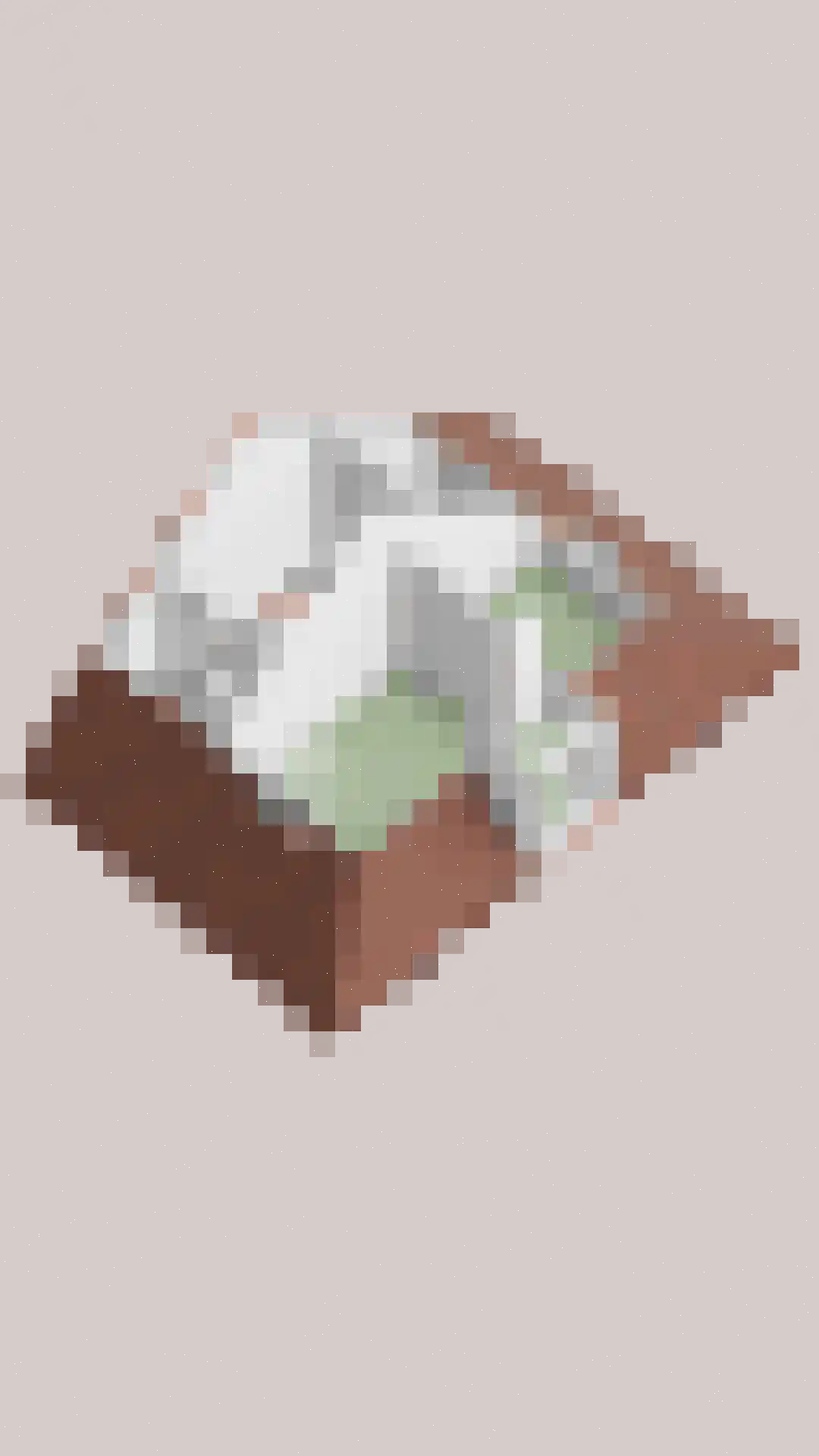 Nieuwepad 11 Middelharnis thumbnail 46