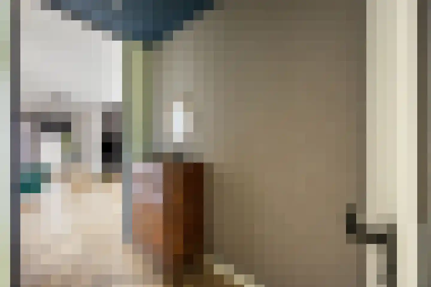 Nieuwepad 11 Middelharnis thumbnail 9