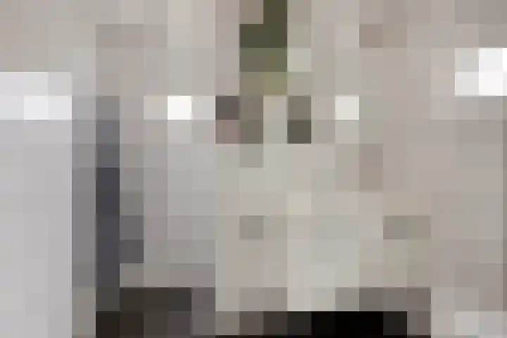 Nieuwepoortstraat 11 Middelburg thumbnail 16