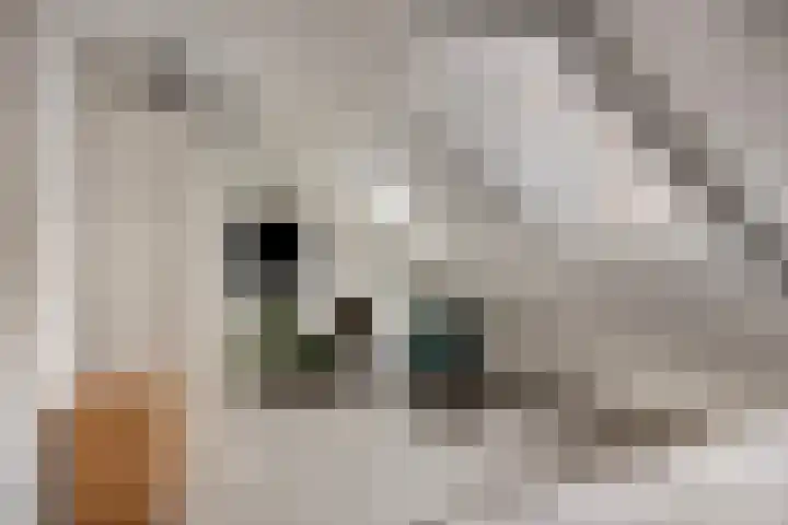 Nieuwepoortstraat 11 Middelburg thumbnail 20