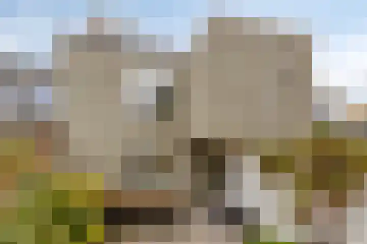 Nieuwepoortstraat 11 Middelburg thumbnail 32