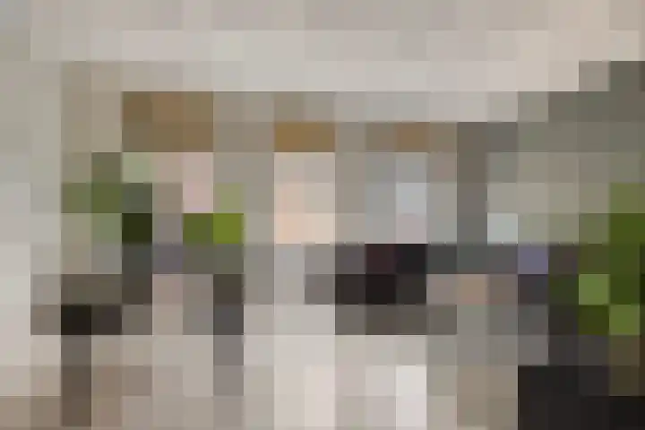 Nieuwepoortstraat 11 Middelburg thumbnail 6