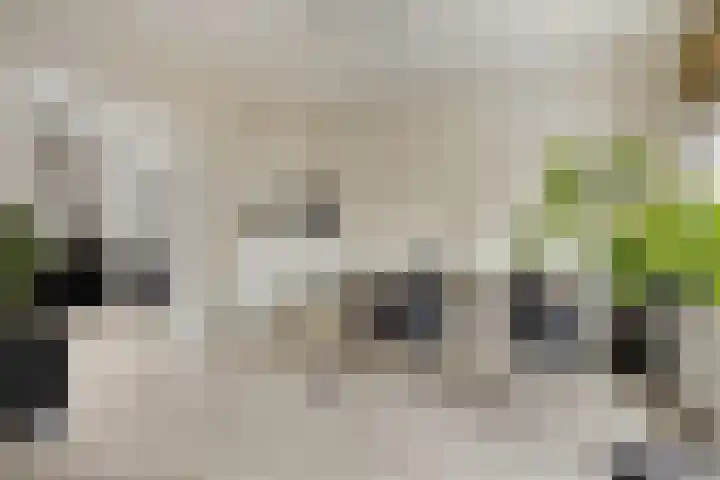Nieuwepoortstraat 11 Middelburg thumbnail 9