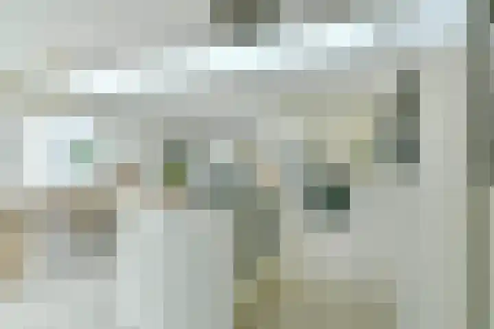 Nieuwerhoek 34 Amsterdam thumbnail 10