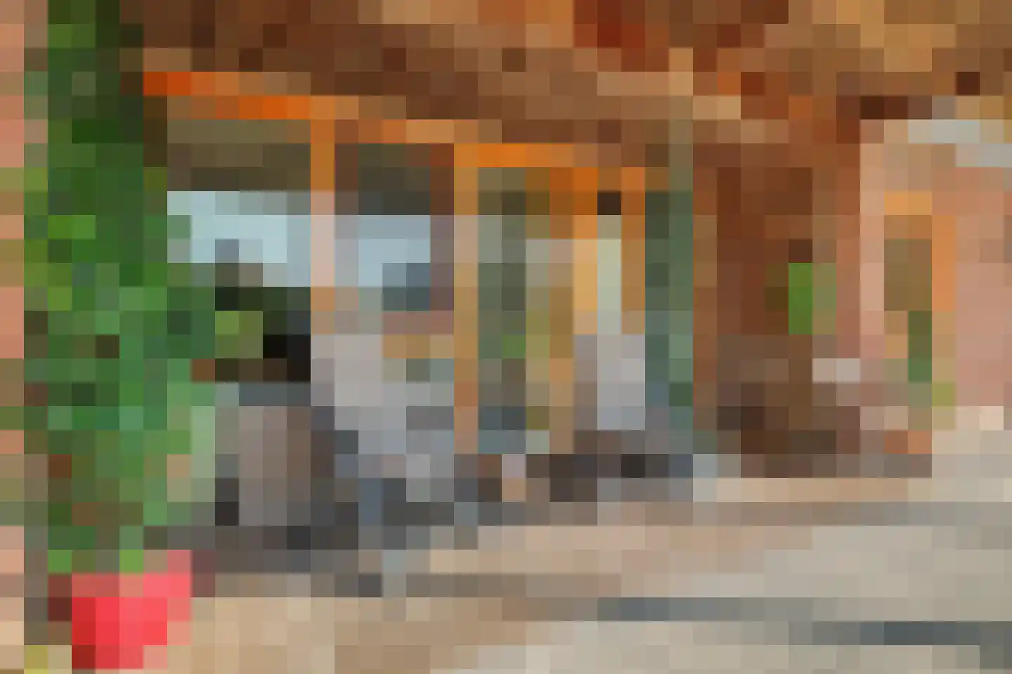 Nieuwerkerckeplein 11 Middelburg thumbnail 26