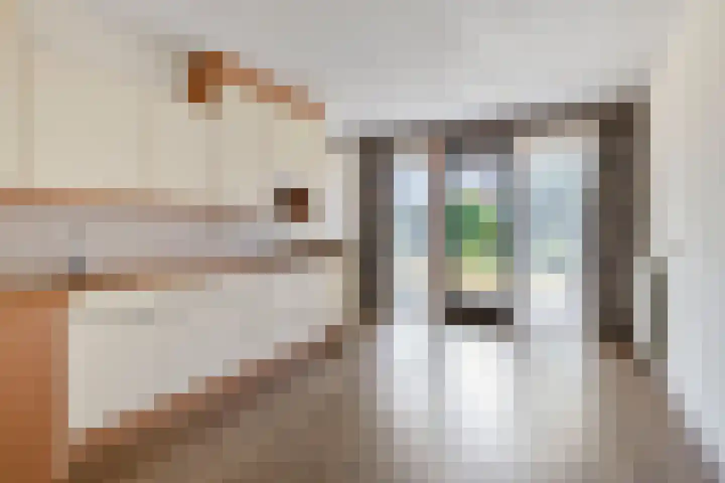 Nieuwerkerckeplein 12 Middelburg thumbnail 10