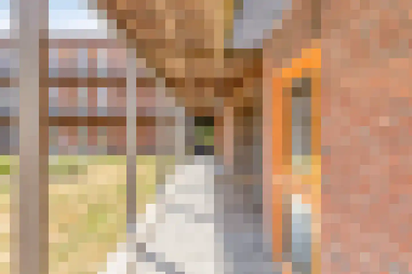 Nieuwerkerckeplein 12 Middelburg thumbnail 22