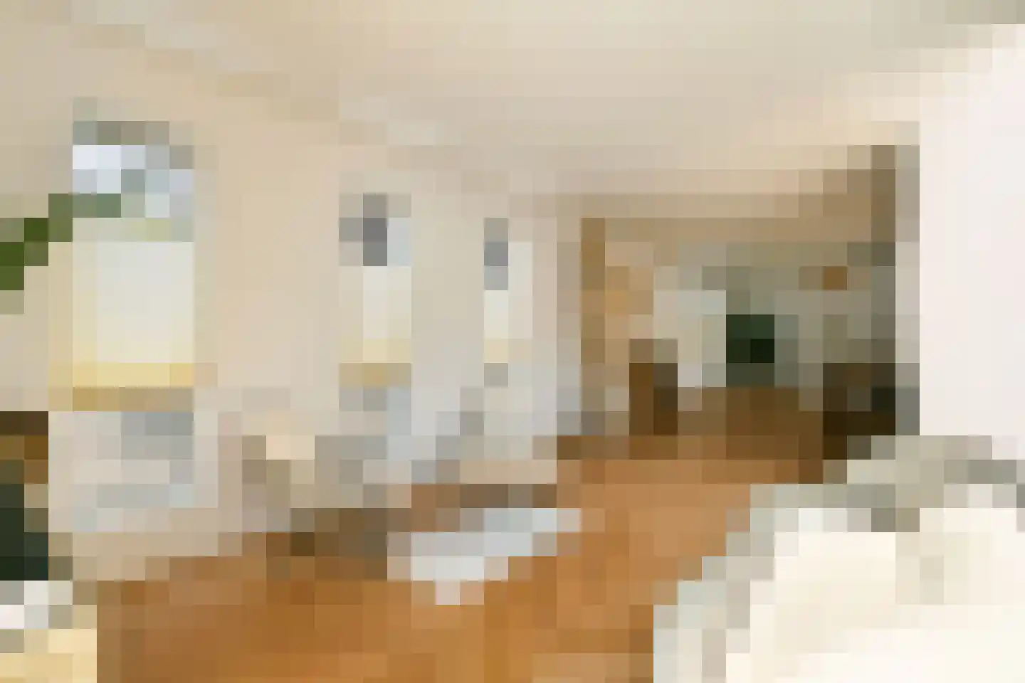 Nieuwerkerkerstraat 10 Lijnden thumbnail 12
