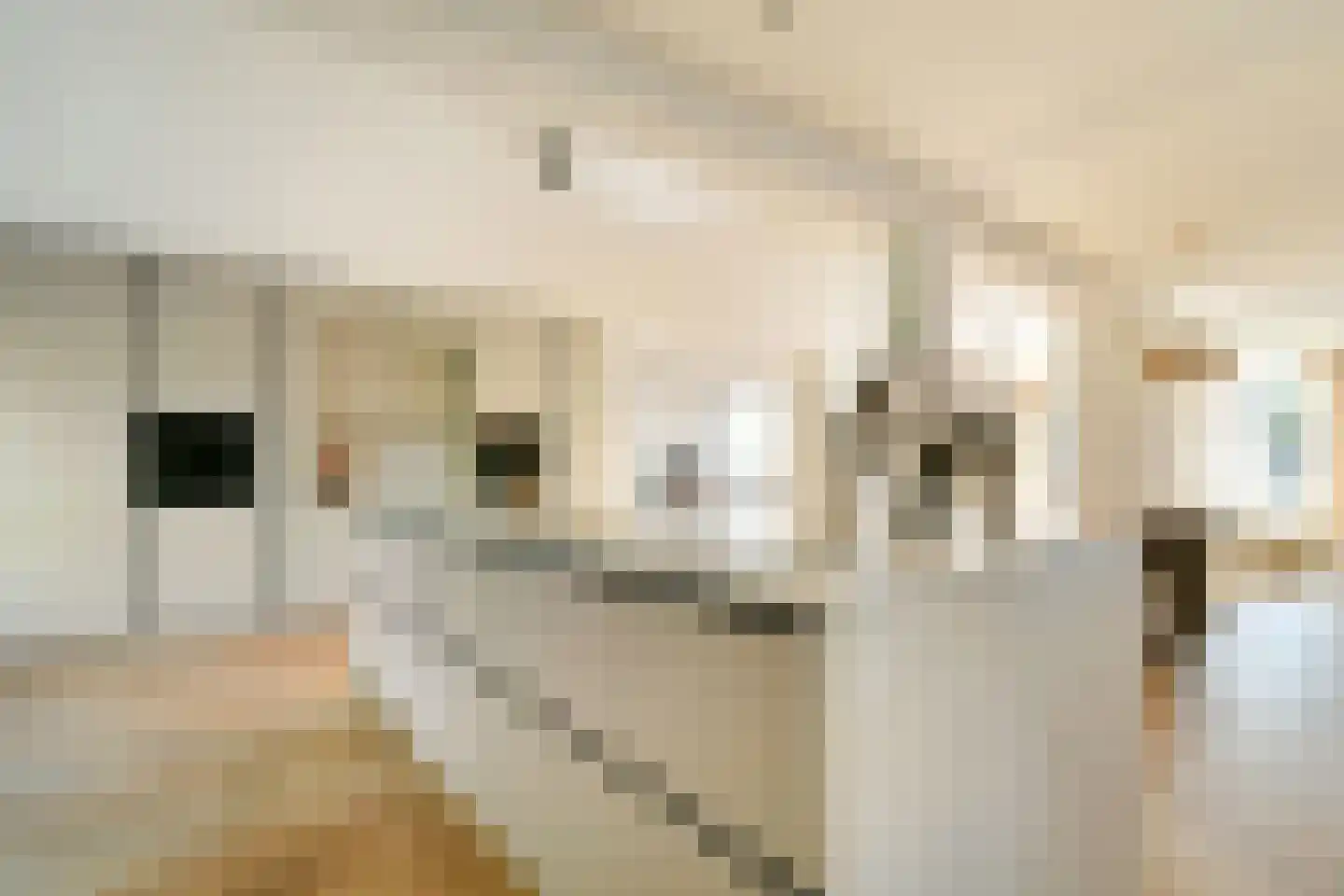 Nieuwerkerkerstraat 10 Lijnden thumbnail 14