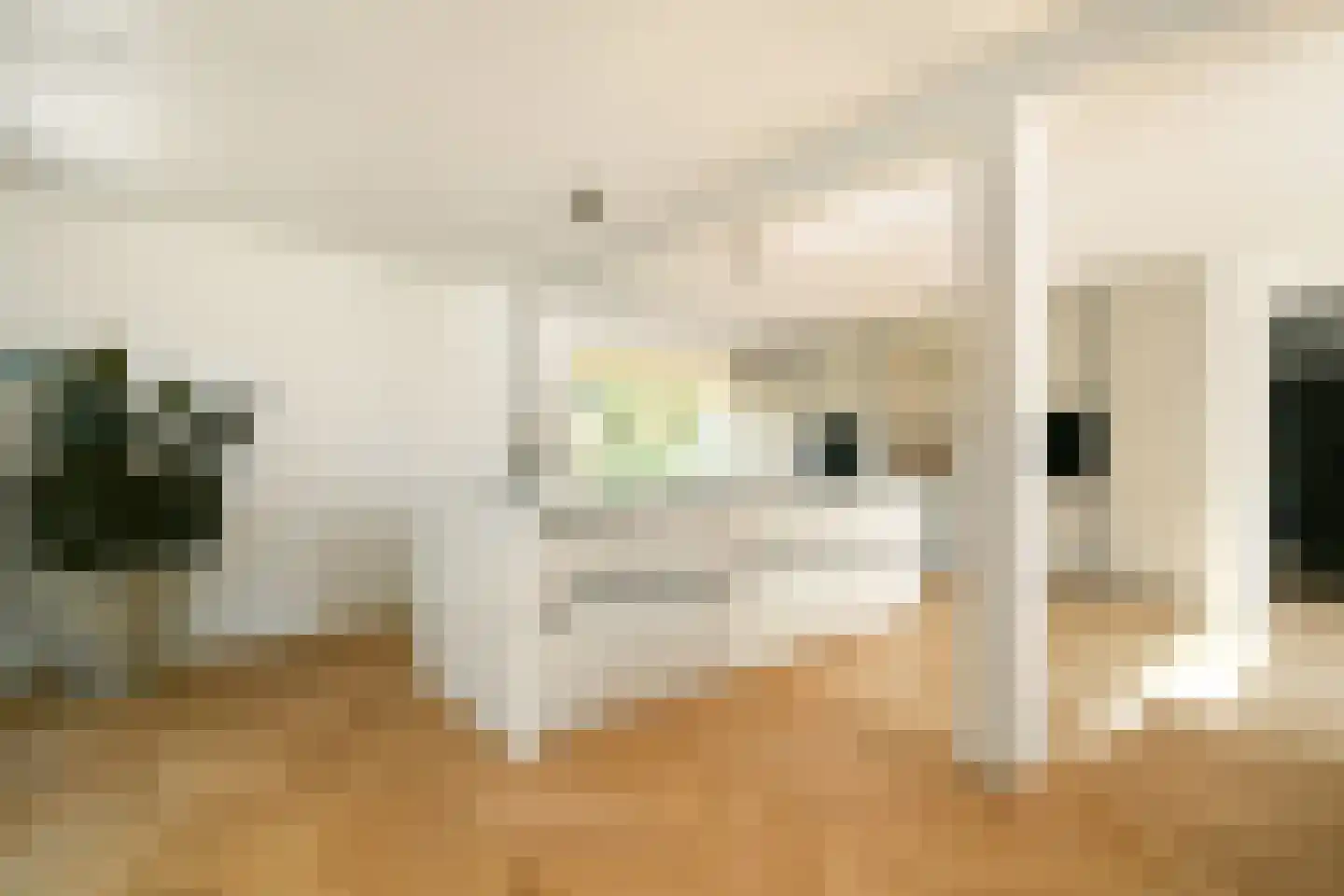 Nieuwerkerkerstraat 10 Lijnden thumbnail 15