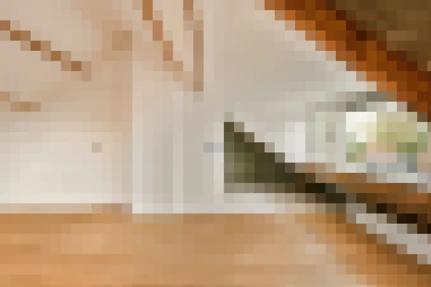 Nieuwerkerkerstraat 10 Lijnden thumbnail 24