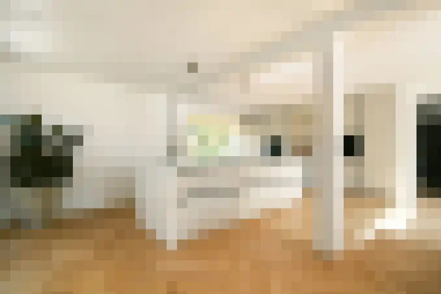 Nieuwerkerkerstraat 10 Lijnden thumbnail 4