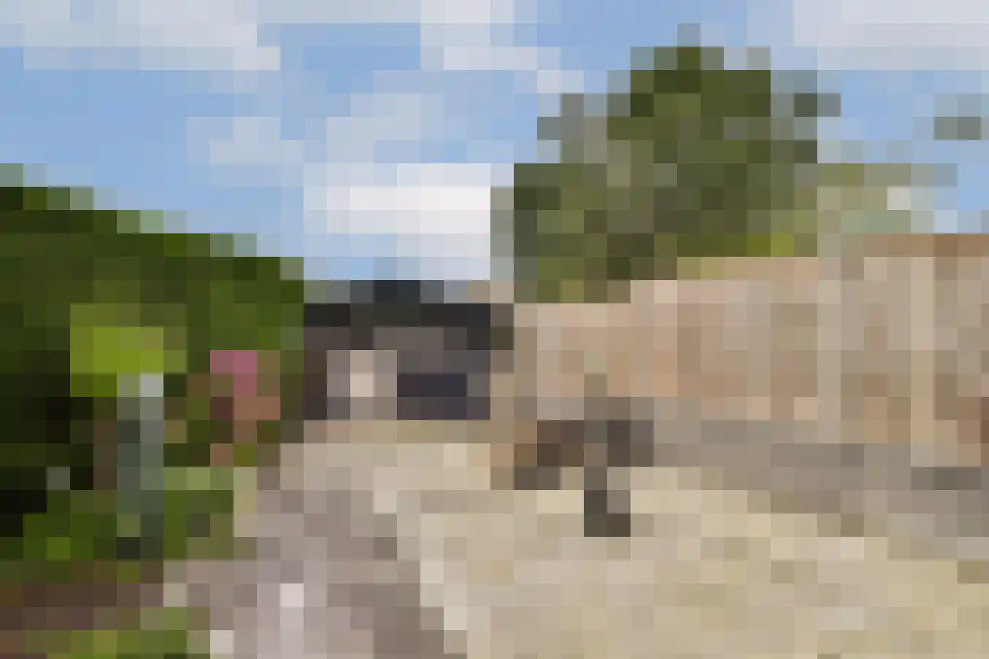 Nieuwerkerkerstraat 12 Lijnden thumbnail 12
