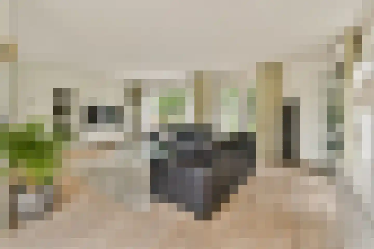 Nieuwerkerkerstraat 12 Lijnden thumbnail 6