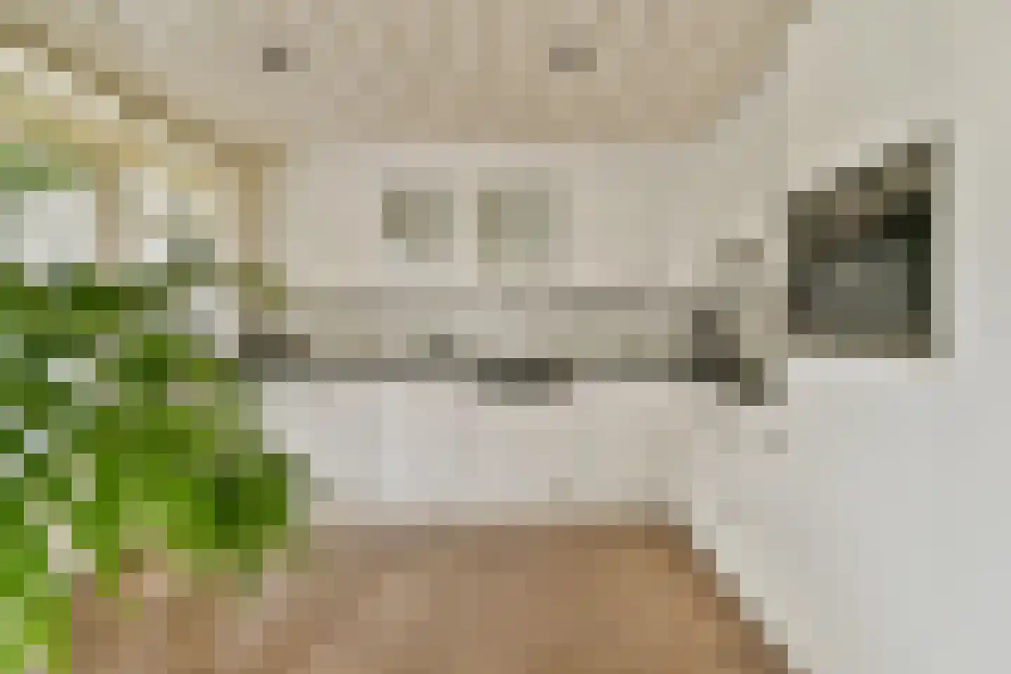 Nieuwerkerkerstraat 12 Lijnden thumbnail 9