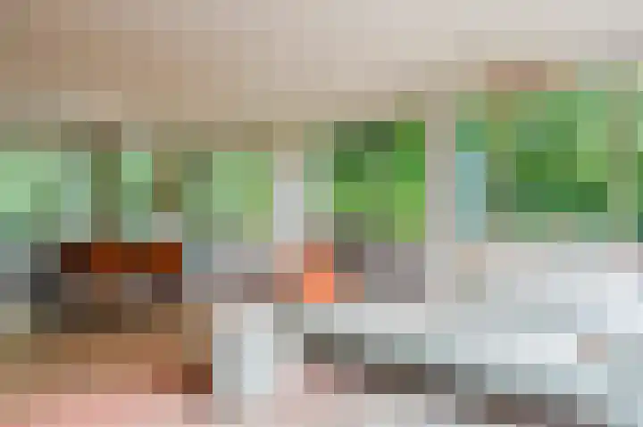 Nieuweroord 132 Leiden thumbnail 13