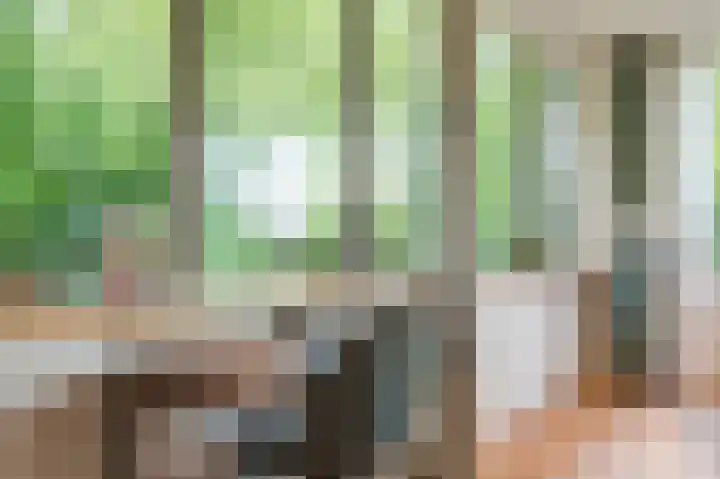 Nieuweroord 132 Leiden thumbnail 14
