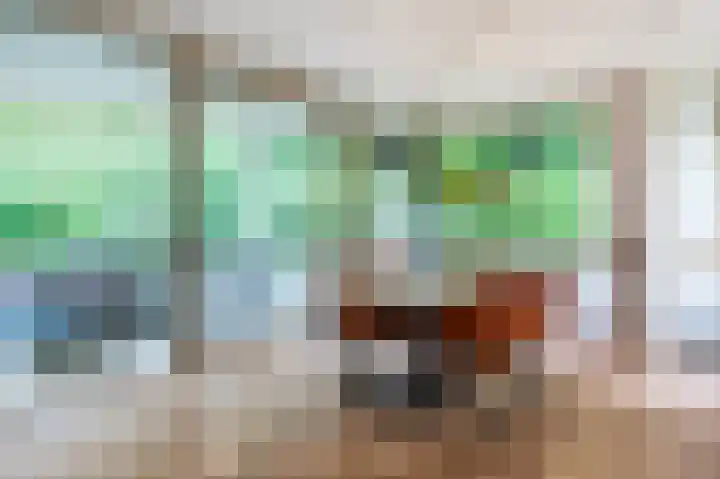 Nieuweroord 132 Leiden thumbnail 16