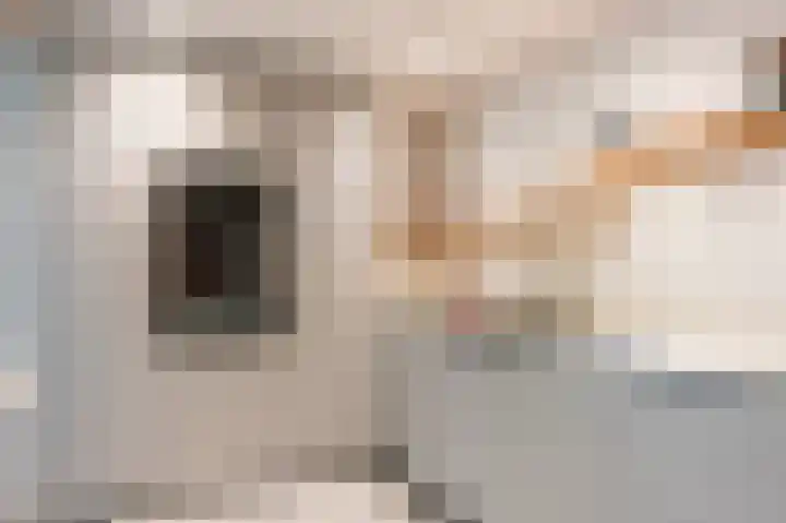 Nieuweroord 132 Leiden thumbnail 19