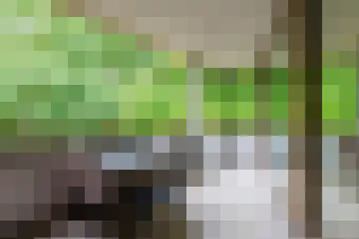 Nieuweroord 132 Leiden thumbnail 28