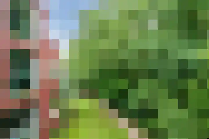 Nieuweroord 132 Leiden thumbnail 29