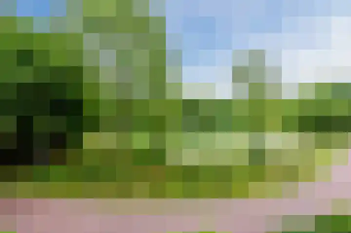 Nieuweroord 132 Leiden thumbnail 31
