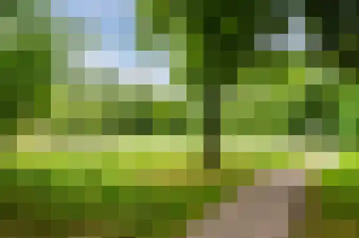 Nieuweroord 132 Leiden thumbnail 39