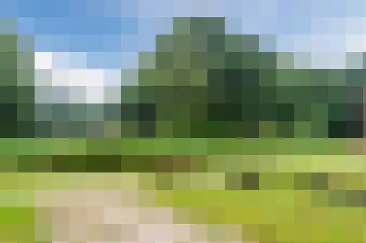 Nieuweroord 132 Leiden thumbnail 40