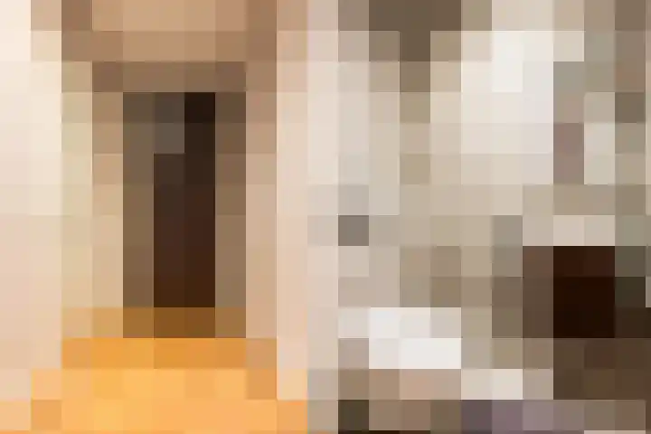Nieuweroord 132 Leiden thumbnail 9