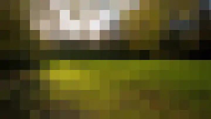 Nieuweroord 22 Leiden thumbnail 39